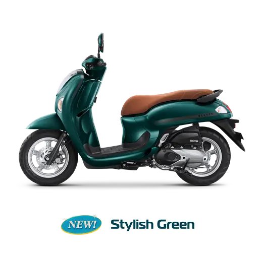 Scoopy